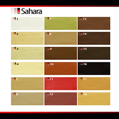 sahara eko Adaro